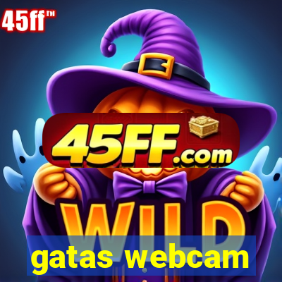 gatas webcam